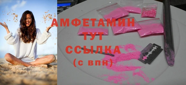индика Абаза