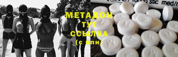 индика Осинники