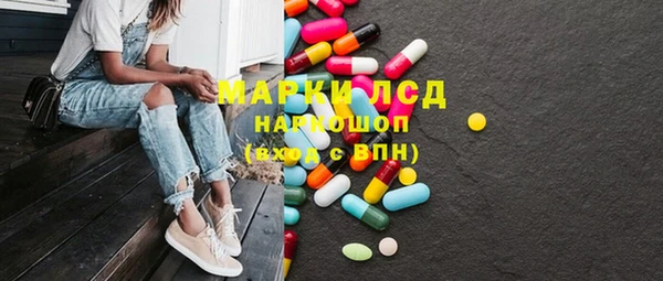 индика Абаза