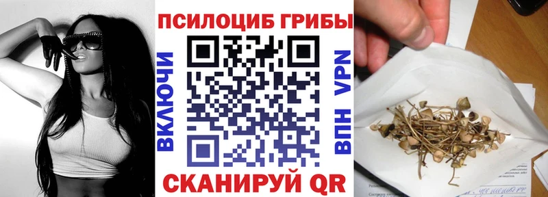 Псилоцибиновые грибы мицелий  Нелидово 